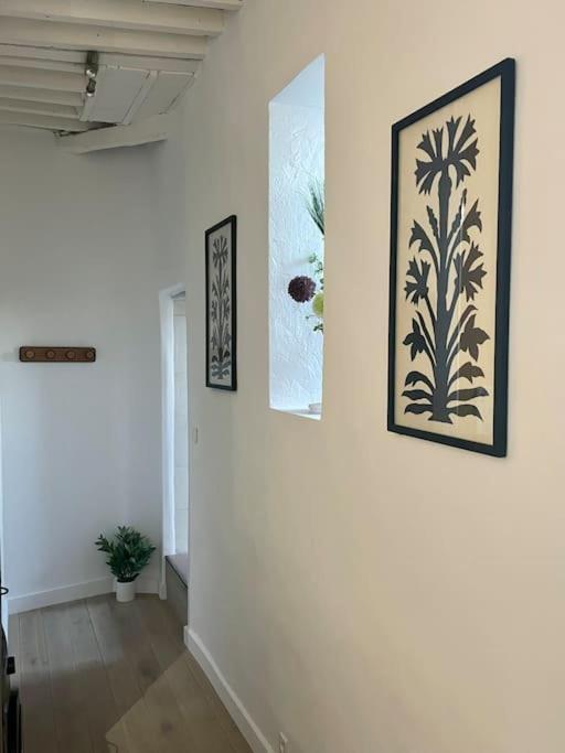 Appartement Renove De Caractere/ Parking Prive Saint-Rémy-de-Provence Εξωτερικό φωτογραφία